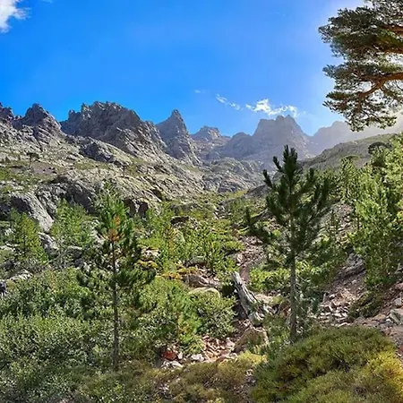 Lägenhet T2 Porto *