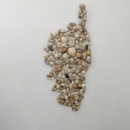 T2 Porto * Porto (Corsica)