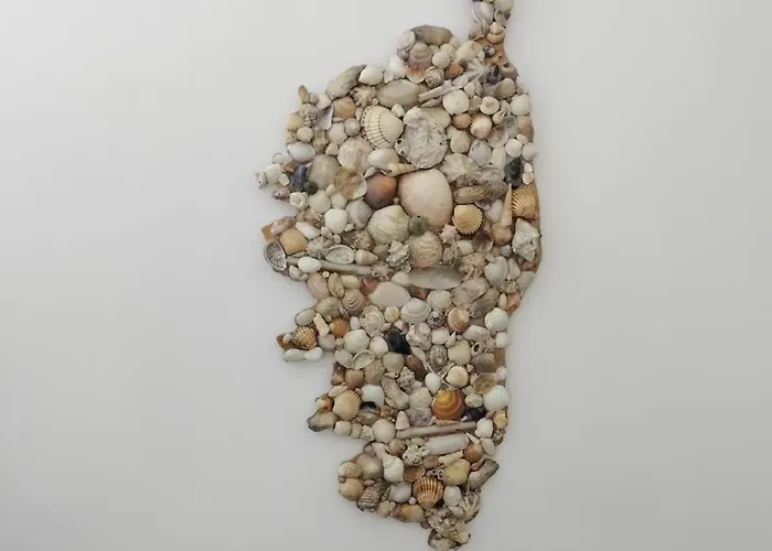 T2 Porto * Porto (Corsica)